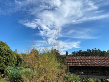 Plants growing on roof of building against sky