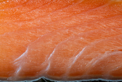 Close -up of a piece of sliced salmon fillet
