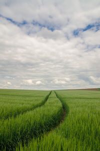 Scenic view of agricultural field against sky