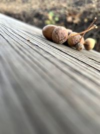 Close-up of food on table