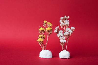 Dried flowers of white and yellow statice on a stand. red background for text