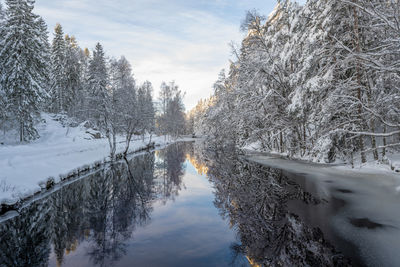 Canal in winter with reflective water