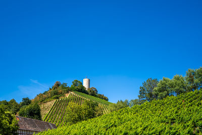 Low angle view of building against clear blue sky