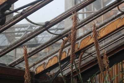 Low angle view of old building