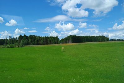 Trees on grassy landscape against cloudy sky