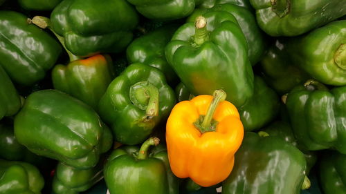 Full frame shot of fresh vegetables for sale at market stall