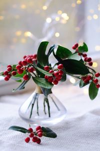 Close-up of red berries on table