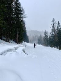 Person on snow covered land against sky