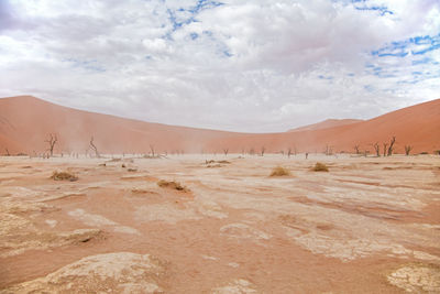 Scenic view of desert against sky