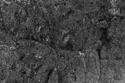 Full frame shot of rock