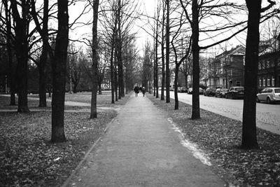 Rear view of person walking on footpath amidst bare trees