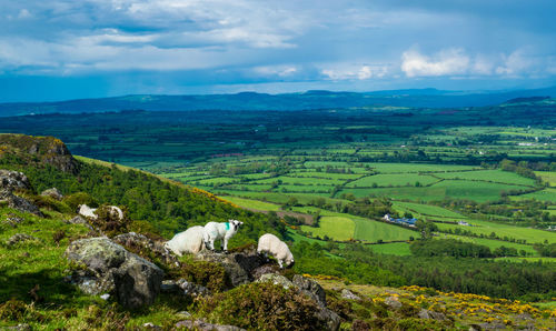 Scenic view of landscape against cloudy sky