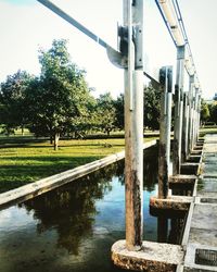 View of trees in park