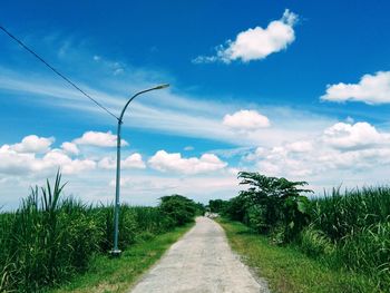 Road amidst plants against sky