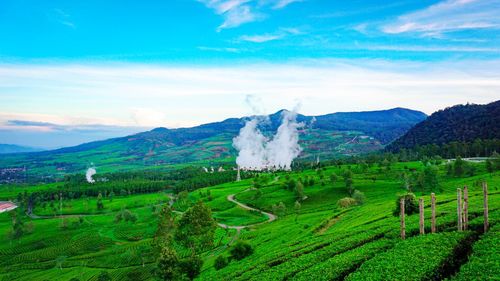 Scenic view of landscape against sky