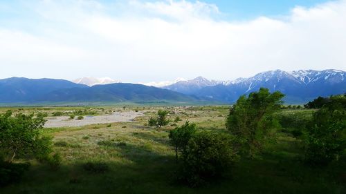 Scenic view of field against sky