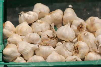 Close-up of pumpkins in market