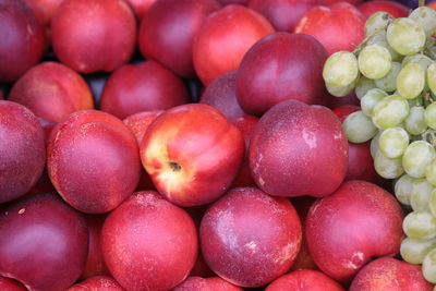 Shot on market of nectarines and grapes