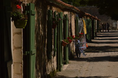 Narrow pathway along trees
