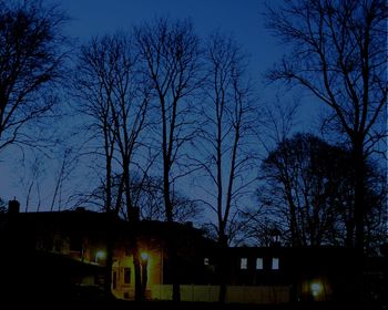 Low angle view of bare trees against blue sky
