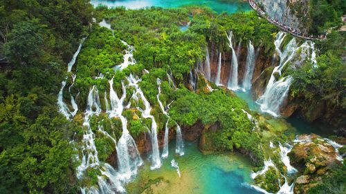 Scenic view of waterfall in forest