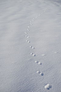 High angle view of footprints on snow