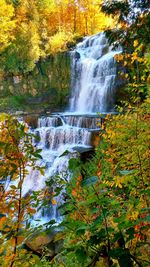 Scenic view of waterfall in forest