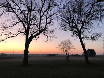 Silhouette bare tree on field against sky at sunset