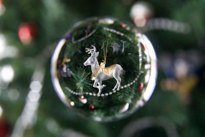 Close-up of christmas ornaments on tree