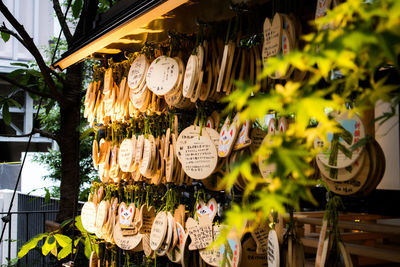 Text on wooden labels hanging outdoors