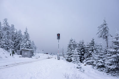 People skiing on snow covered landscape