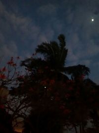 Low angle view of trees against sky at dusk