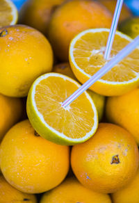 Close-up of drinking straw in oranges