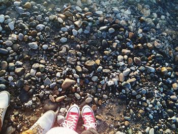 Low section of person standing on pebbles at beach