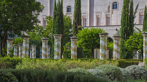 Plants growing in front of historic building