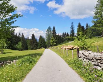 Road amidst plants and trees against sky