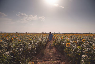 Scenic view of agricultural land against sky