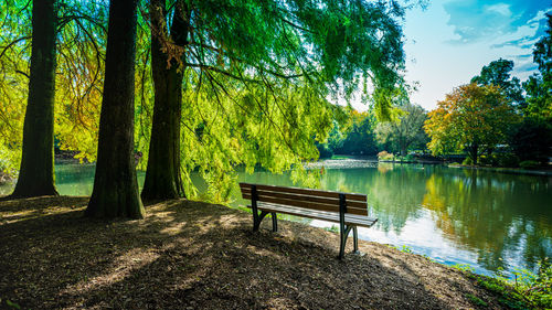 Empty bench by lake against trees in park