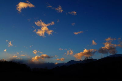 Low angle view of silhouette trees against sky at sunset