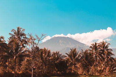 Scenic view of mountains against blue sky