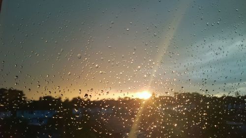 Water drops on glass window