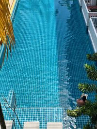 Swimming pool by tree
