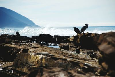 View of rocks against sky