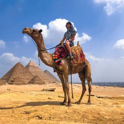 Man riding camel at desert against sky