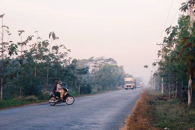 Cars parked on road