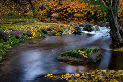 Stream flowing through rocks in forest