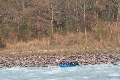 People on riverbank against trees in forest