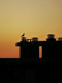 Silhouette of bird perching on building against orange sky