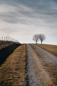 Road amidst bare trees on field against sky