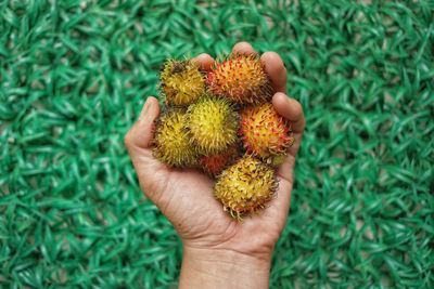 Cropped hand of man holding flowers on field